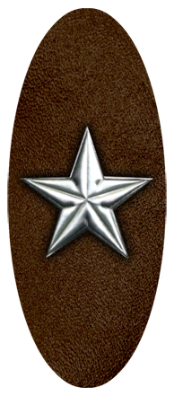 Star Silver-Brown